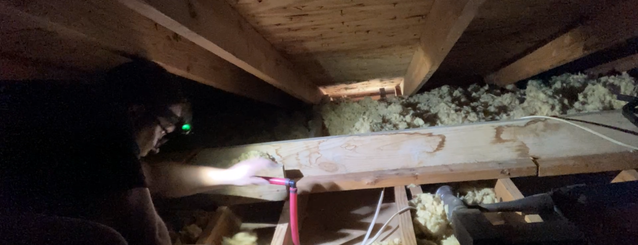 Ricky Attic Inspection